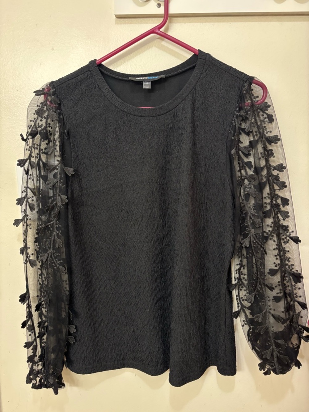 Alice Blue Black Long Sleeve Embroidered Mesh Sleeve Dress